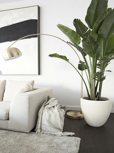 Wohnzimmer Pflanze Banane neben Sofa und Stehlampe
