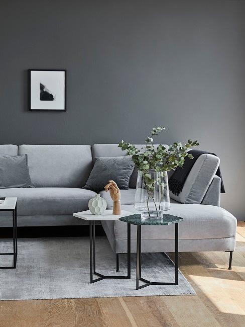 Hellgraue Couch hinter Vase mit Sträuchern