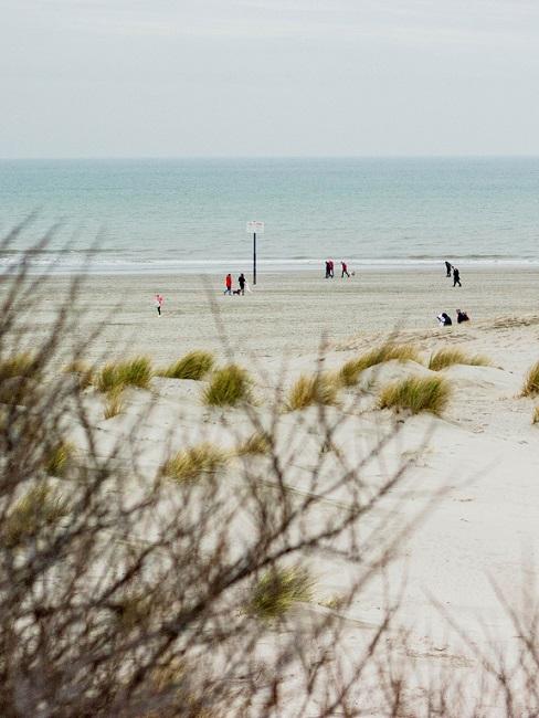 Get Strand kust decoraties HD