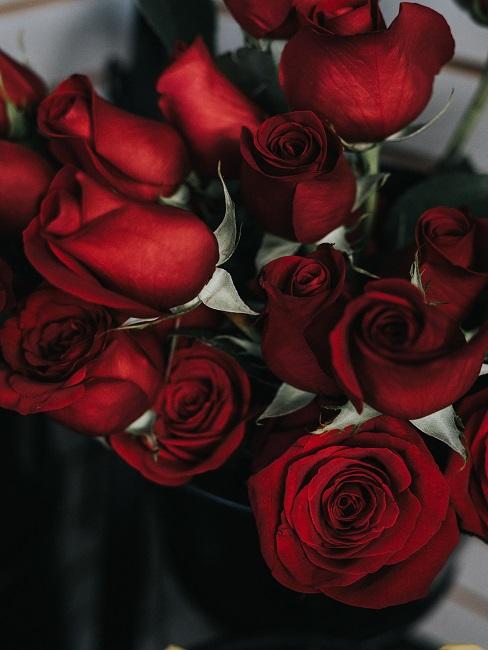 Bouquet of red roses