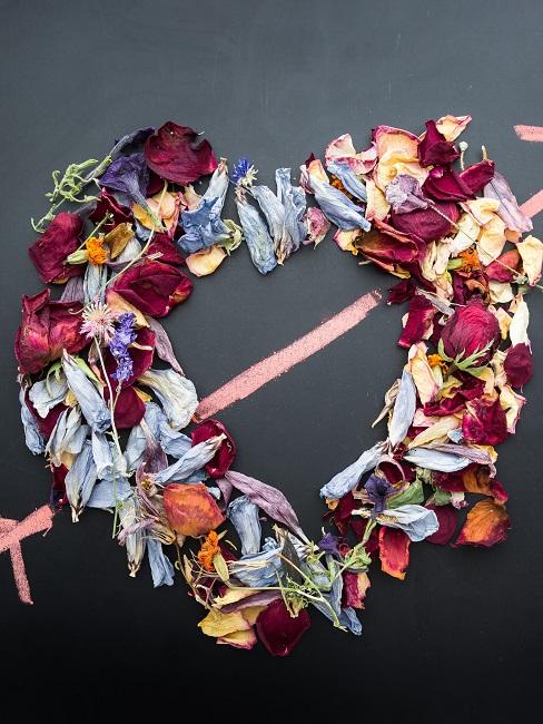 Heart made from dried rose petals
