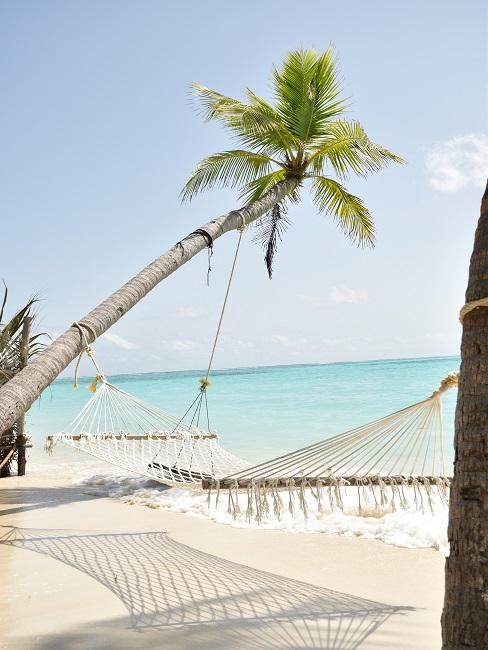 Macrame hammock on palm trees on the beach