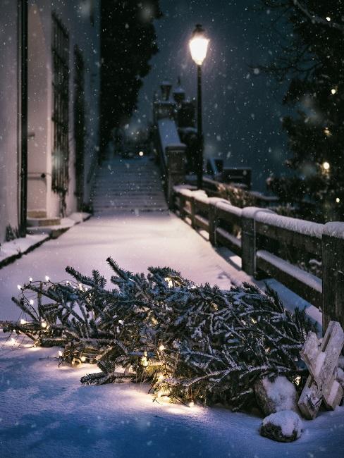 Weihnachtsbaum entsorgen-Banner Weihnachtsbaum auf der Straße umgefallen im Schnee