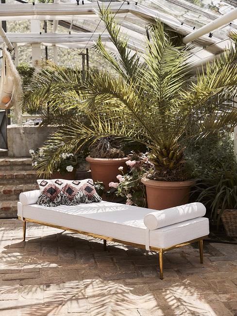 Weißes Daybed mit Ethno-Kissen vor Palmen in Wintergarten