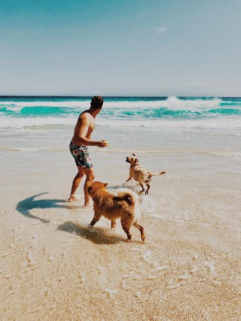 Hombre en bañador jugando en la playa con dos perros