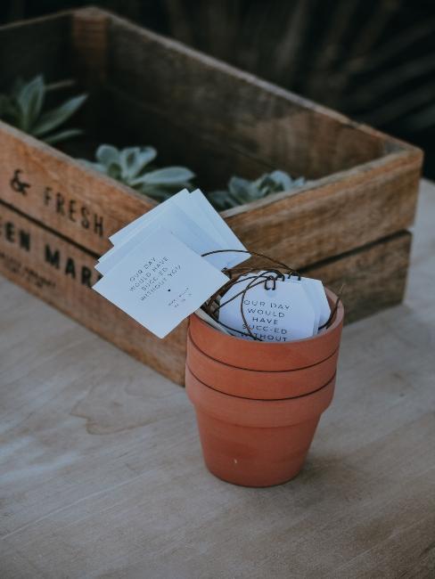 plante-pot petit pot de plante avec mots
