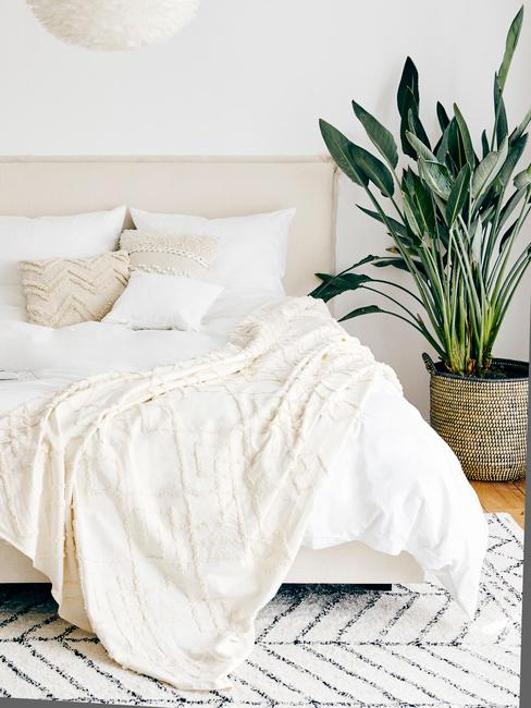 glittermuurverf-6 Cremekleurig beddengoed in de slaapkamer in boho-stijl met een levende plant in een pot