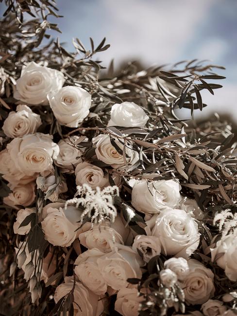 Trouwen in frankrijk-2 Witte rozen als bruiloftdecoratie