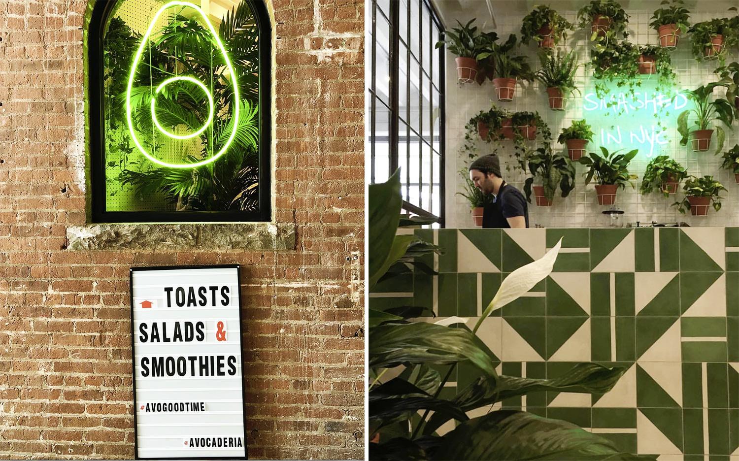 Avocaderia, New York, Avocado, Design, Stile, Ricette