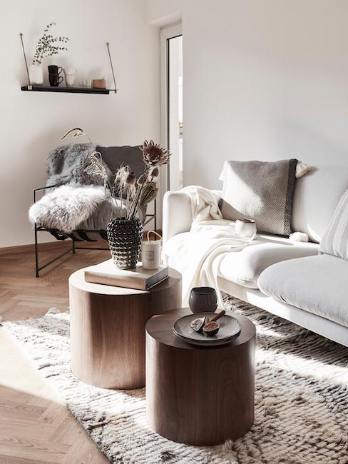 Wynajmowane mieszkanie Salon w naturalnych kolorach