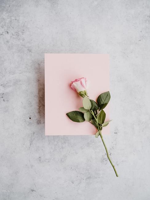 tarjeta-san-valentin-banner Sobre rosa con rosa encima