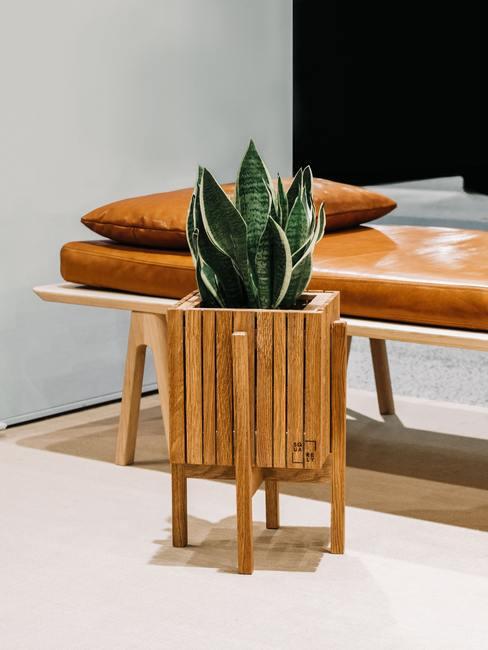 potplanten heading Potplanten in houten pot met leren bank