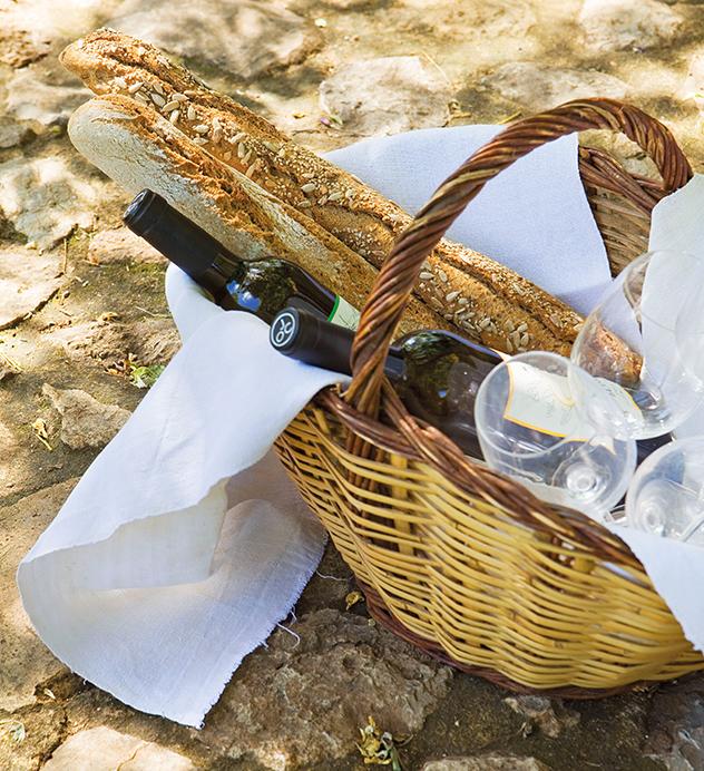 Aprendiendo a disfrutar del vino