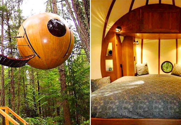 casa sull'albero sfera casa sull'albero sfera