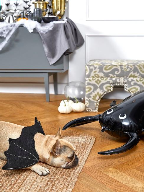 Halloween Deko Spinne