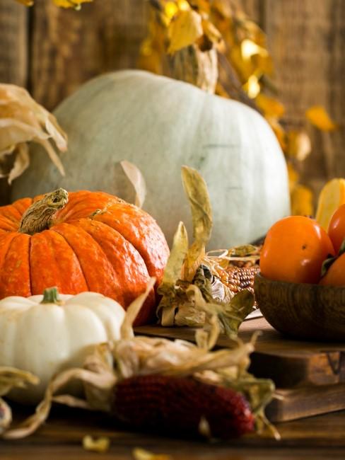 calabaza-de-halloween-banner calabazas naranajas y blancas