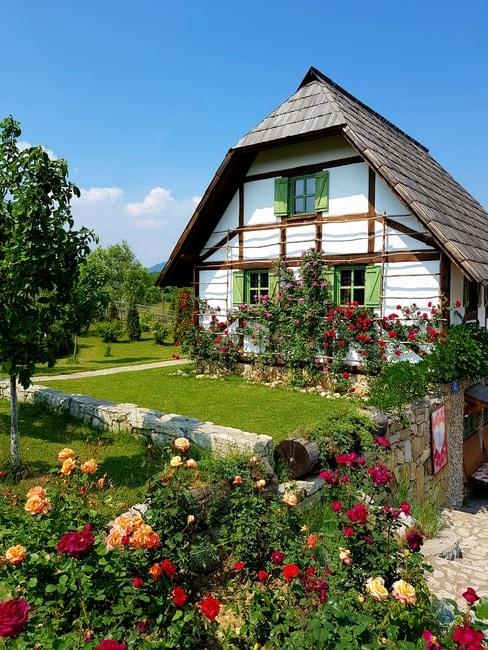 Giardinaggio urbano: cottage garden