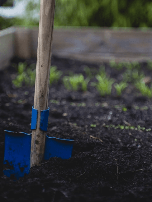 Orto in giardino: lavori in corso