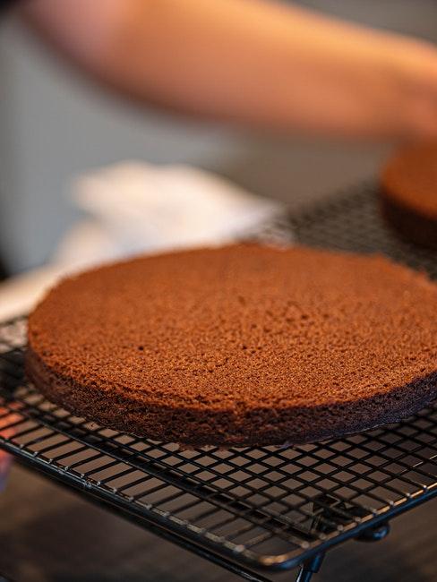 disco di pan di spagna in forno