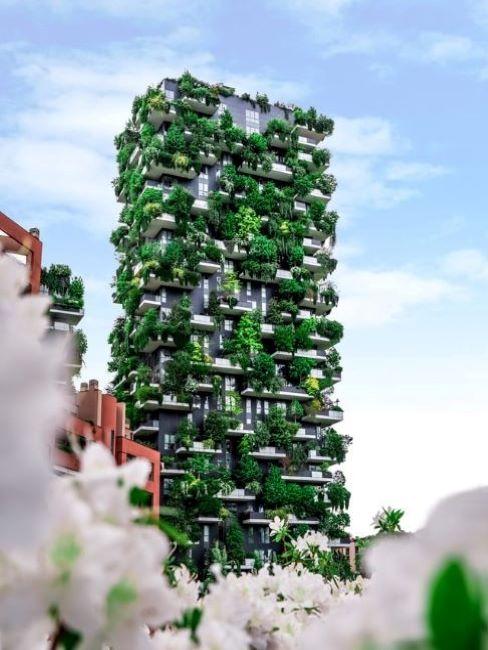 bosco verticale bosco verticale
