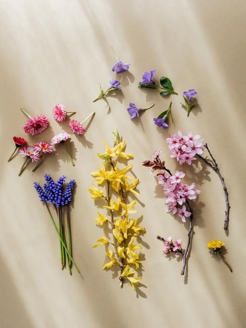 bloemenslinger-2 Vers geplukte bloemen voor een boho-stijl slinger