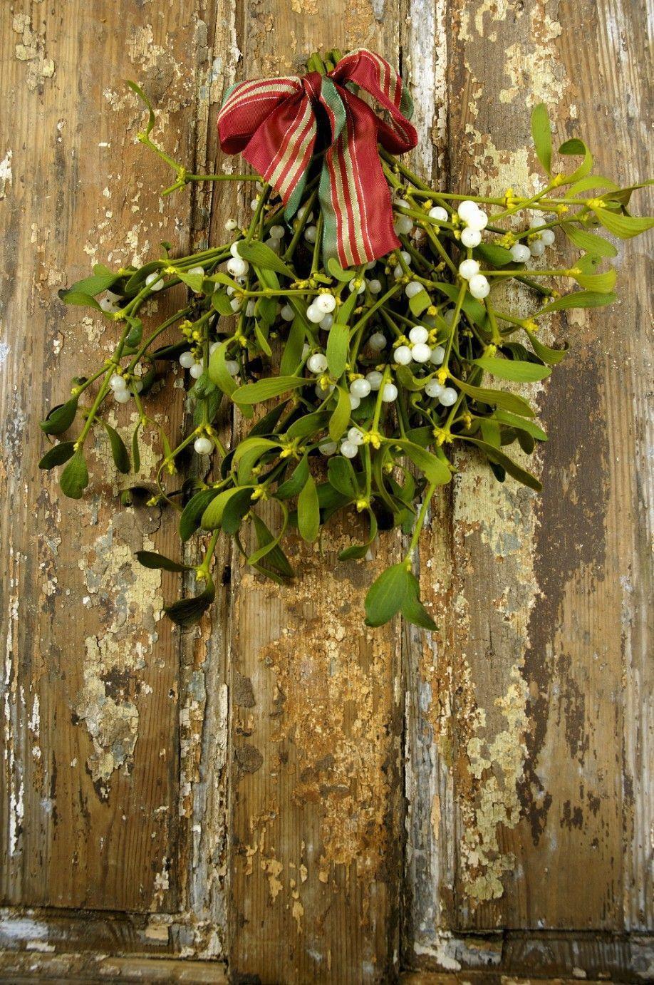 Dalani, Natale, Decorare con il Vischio Dalani, Natale, Casa, Colori, Decorazioni, Idee, Fai da Te