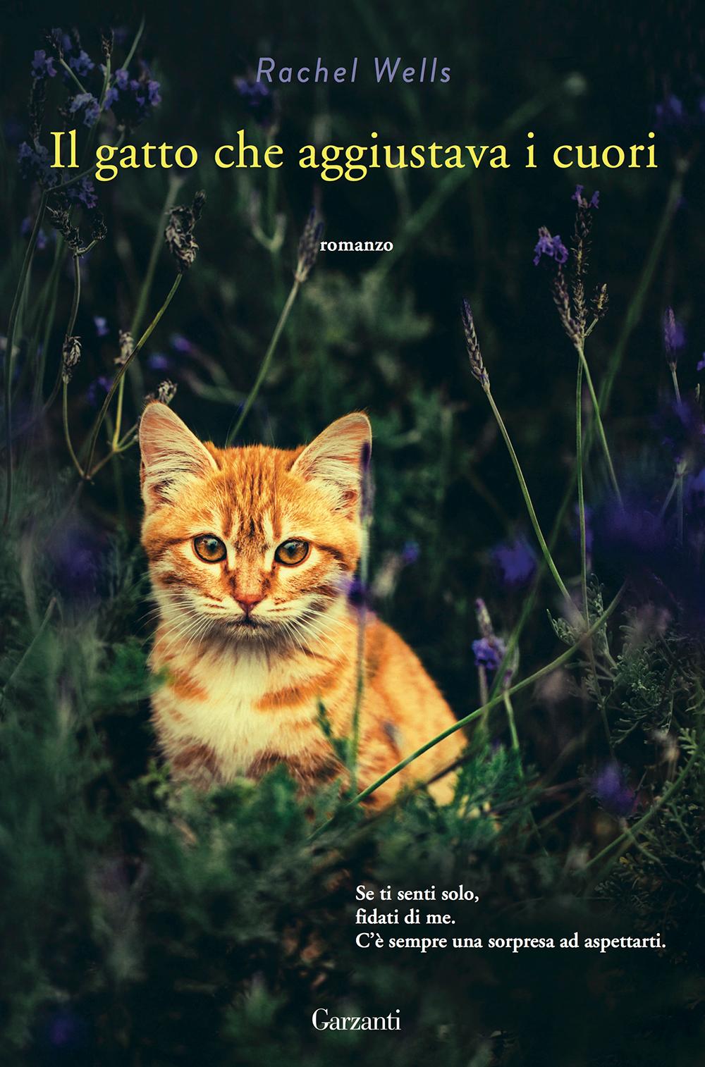 Dalani, Libri per l'Estate 2016, Il Gatto che Aggiustava i Cuori, Rachel Wells, Edizioni Garzanti Dalani, Libri per l'estate, Casa, Estate, Ispirazioni, Libri, Matrimonio, Relax
