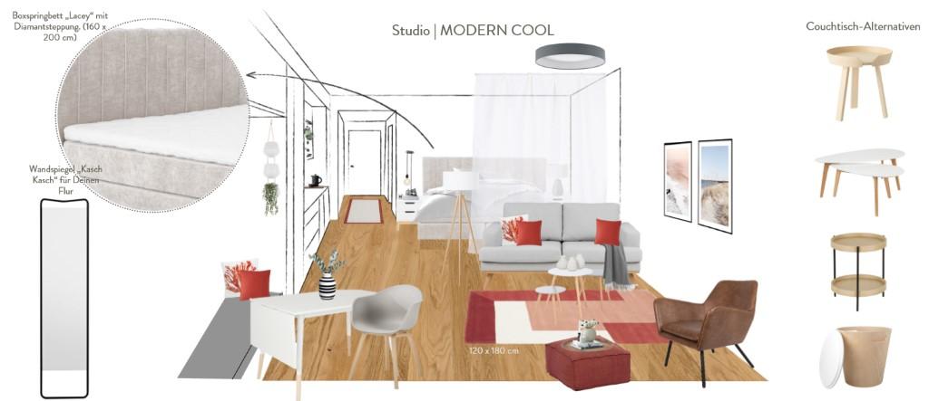 Kleines Appartment einrichten Vorschlag Modern Cool