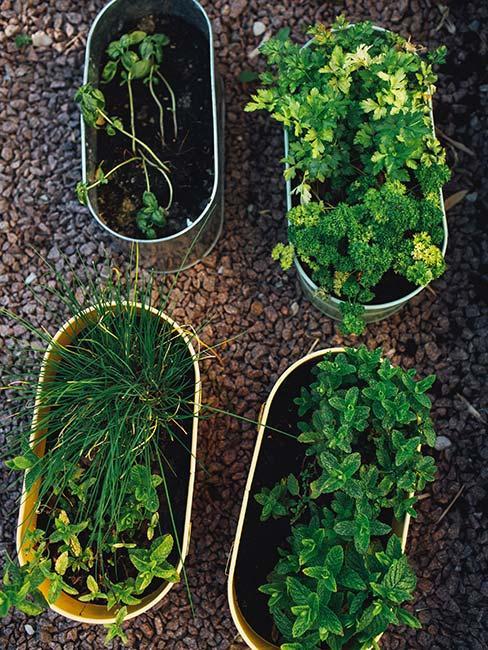 vyvýšené-květináče-2