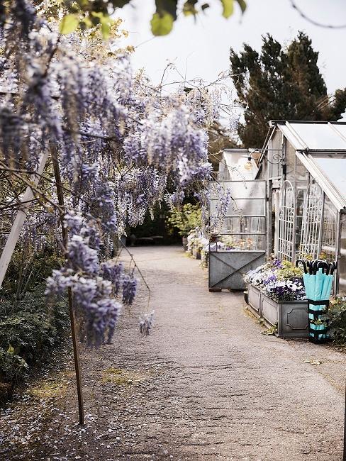 Skleník-inspirace-333