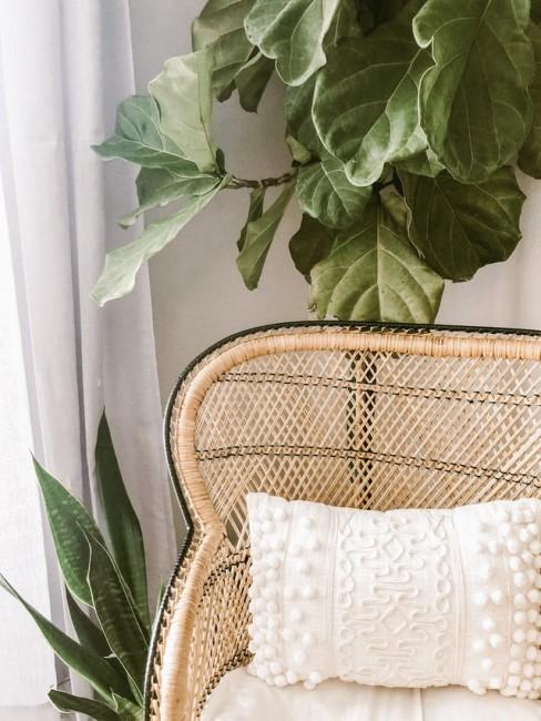 Grünpflanzen und Naturmaterialien als Deko im Boho Stil