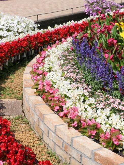 Rundes großes Blumenbeet