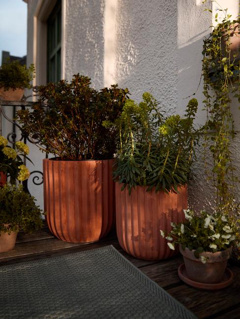 Pflanzentöpfe auf einem Balkon