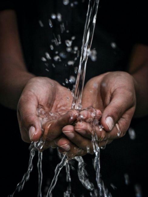 Ahorrar agua