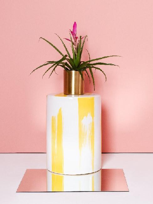 Bromelia en jarrón blanco y amarillo con fondo rosa