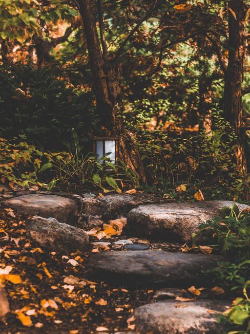 Jardín con piedras a modo de escalones y farol entre los árboles