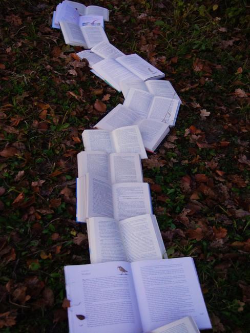 Libros abiertos puestos uno junto a otro para formar un camino sobre un jardín con hojas