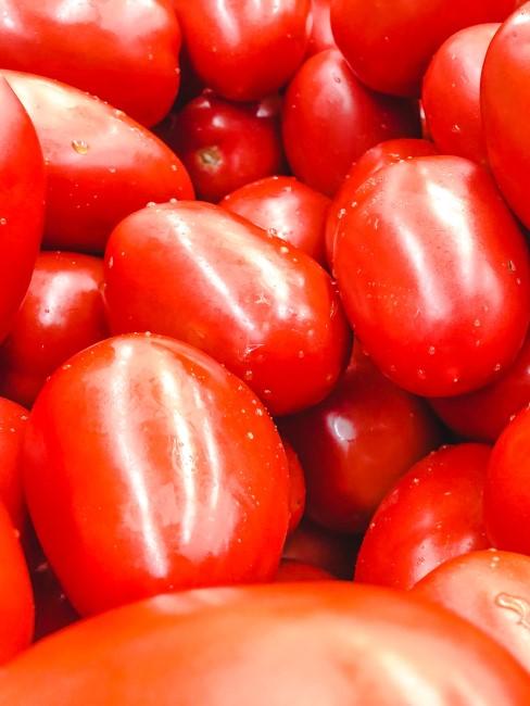 tomatina-banner tomates
