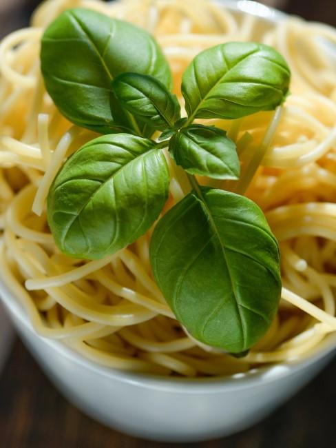 albahaca con espaguetis