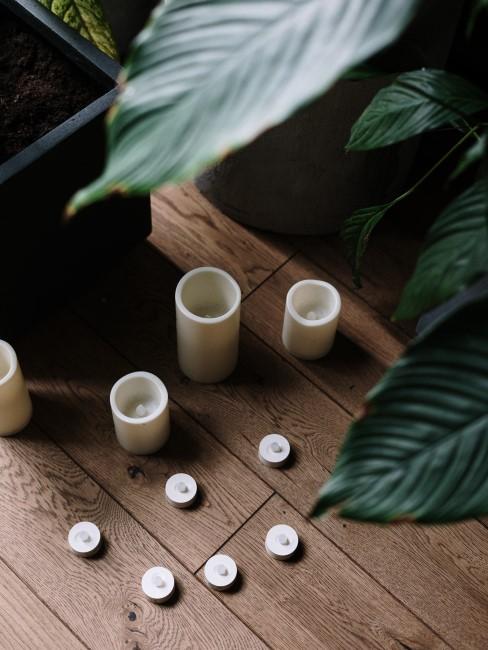 velas y plantas en parquet