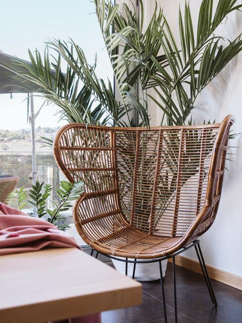 sillon de mimbre marrón y planta