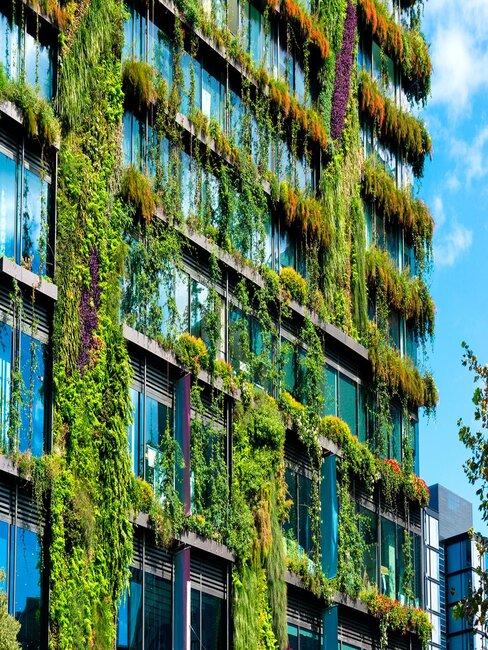 biomimetica-banner Edificio con hiedra y plantas en la fachada