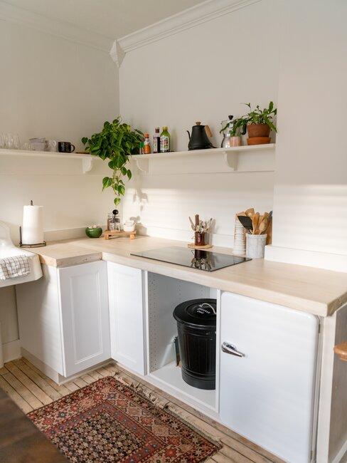 cocina pequeña blanca y madera con plantas