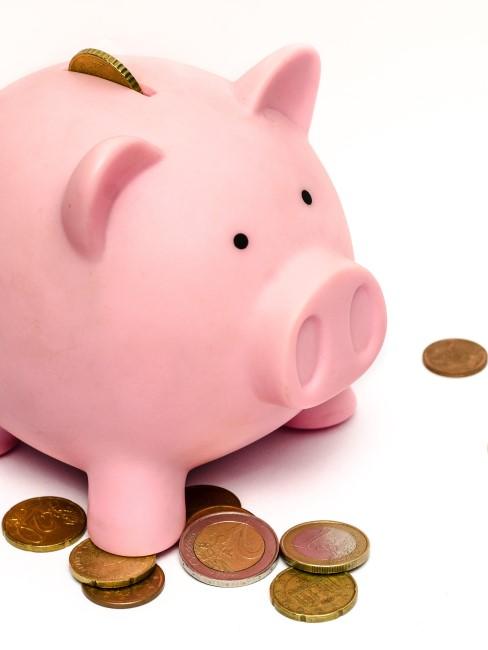 planes-low-cost-banner hucha de un cerdito con dinero