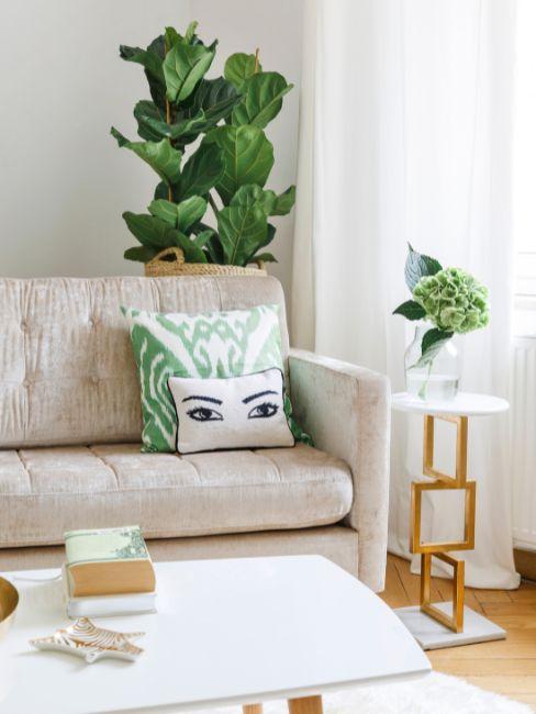 Decorar con plantas