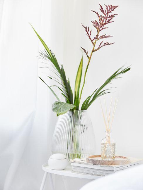 Decorar con plantas
