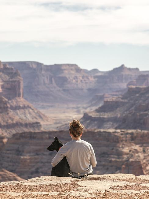 Viajar con tu mascota