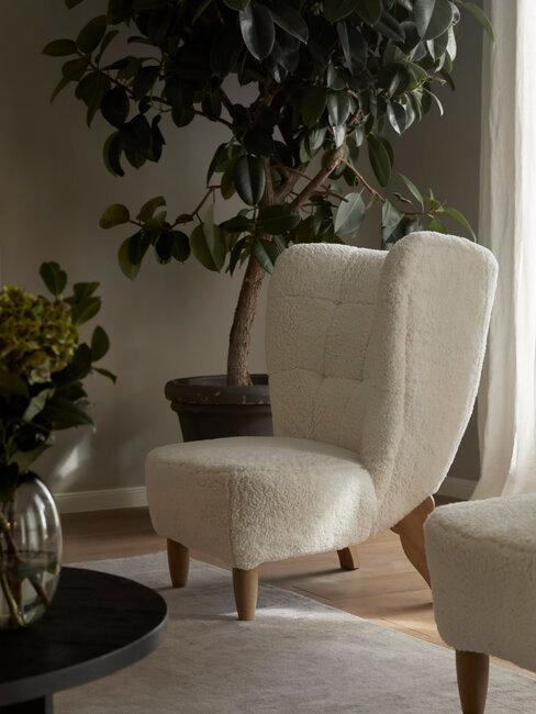 sillon boucle blanco y arbol