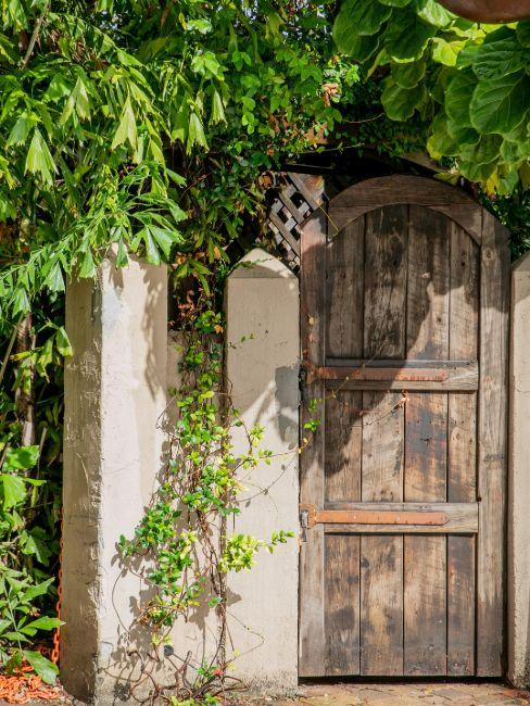 mur extérieur beige avec porte en bois, plantes vertes grimpantes et tombantes