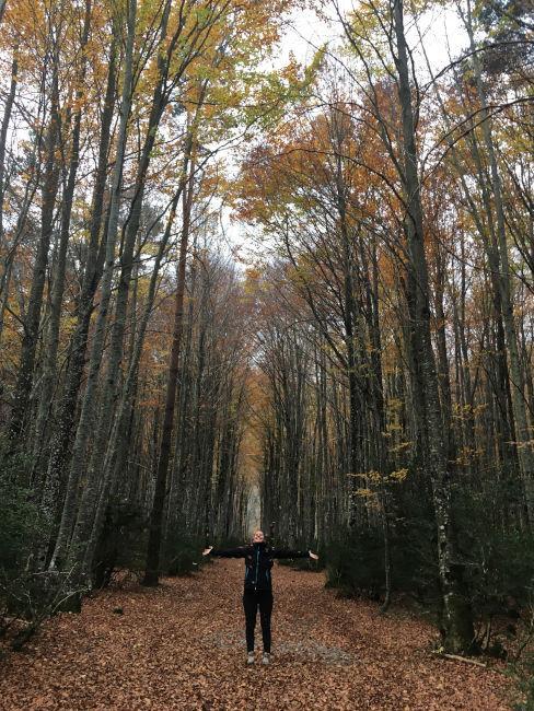 personne se promenant seul dans la foret